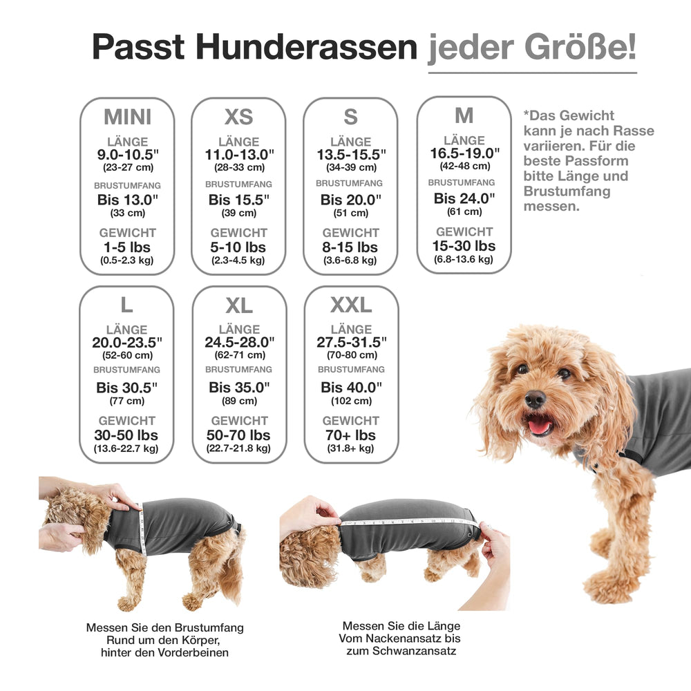 BellyGuard dog body suit for neuter recovery enabling convenient potty breaks