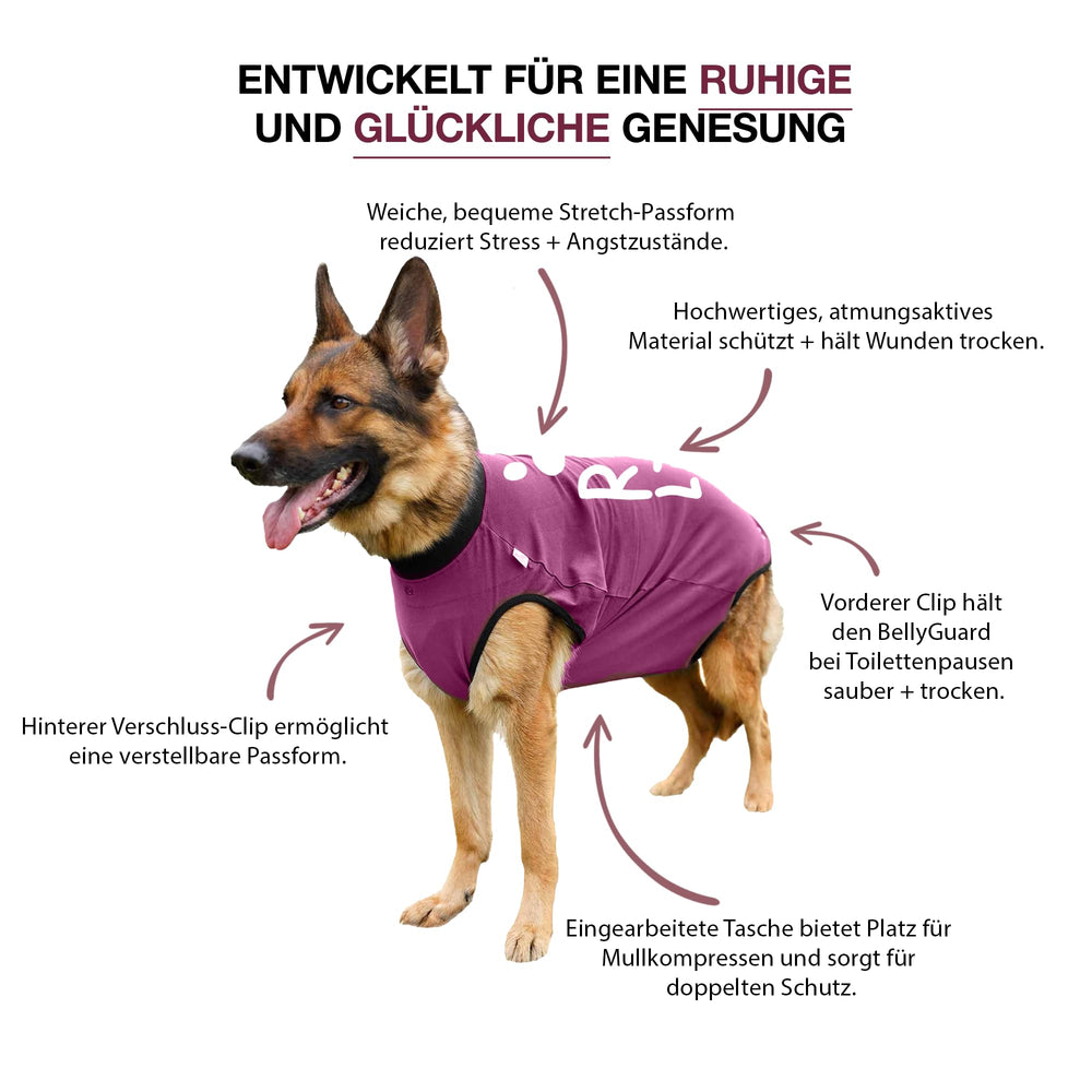 BellyGuard dog-onesie post-surgery-easy-sliding shows convenient post-op wear for quick changes.