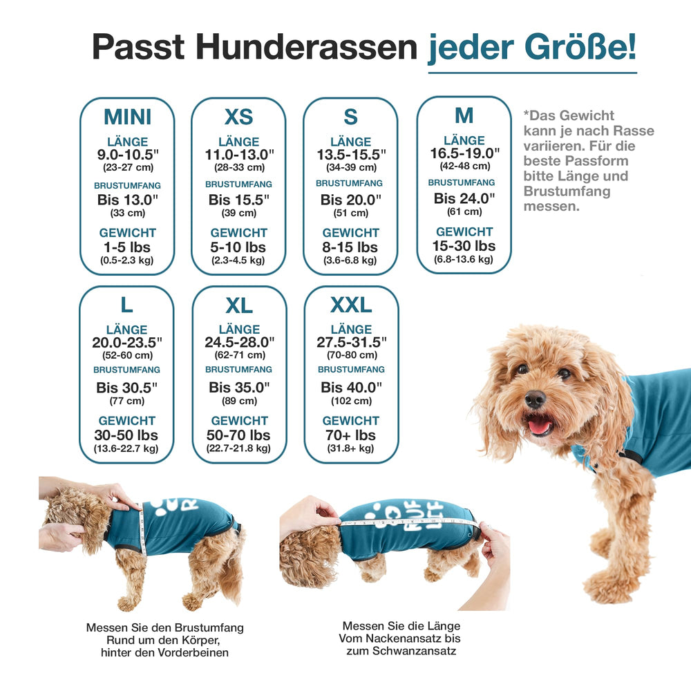 BellyGuard dog post-op onesie side-fit for quick dressing with minimal fuss