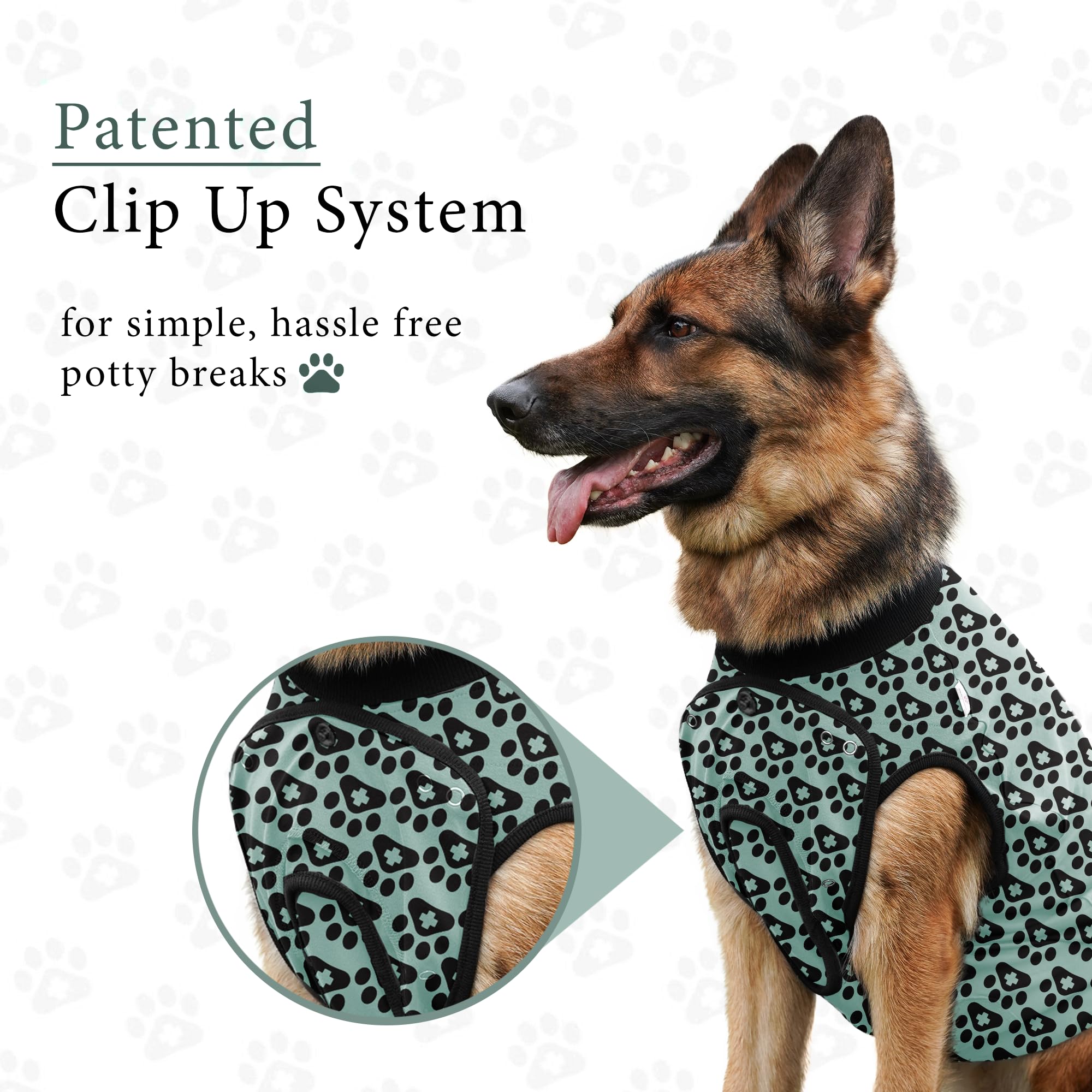 BellyGuard recovery suit provides gentle comfort to anxious pups