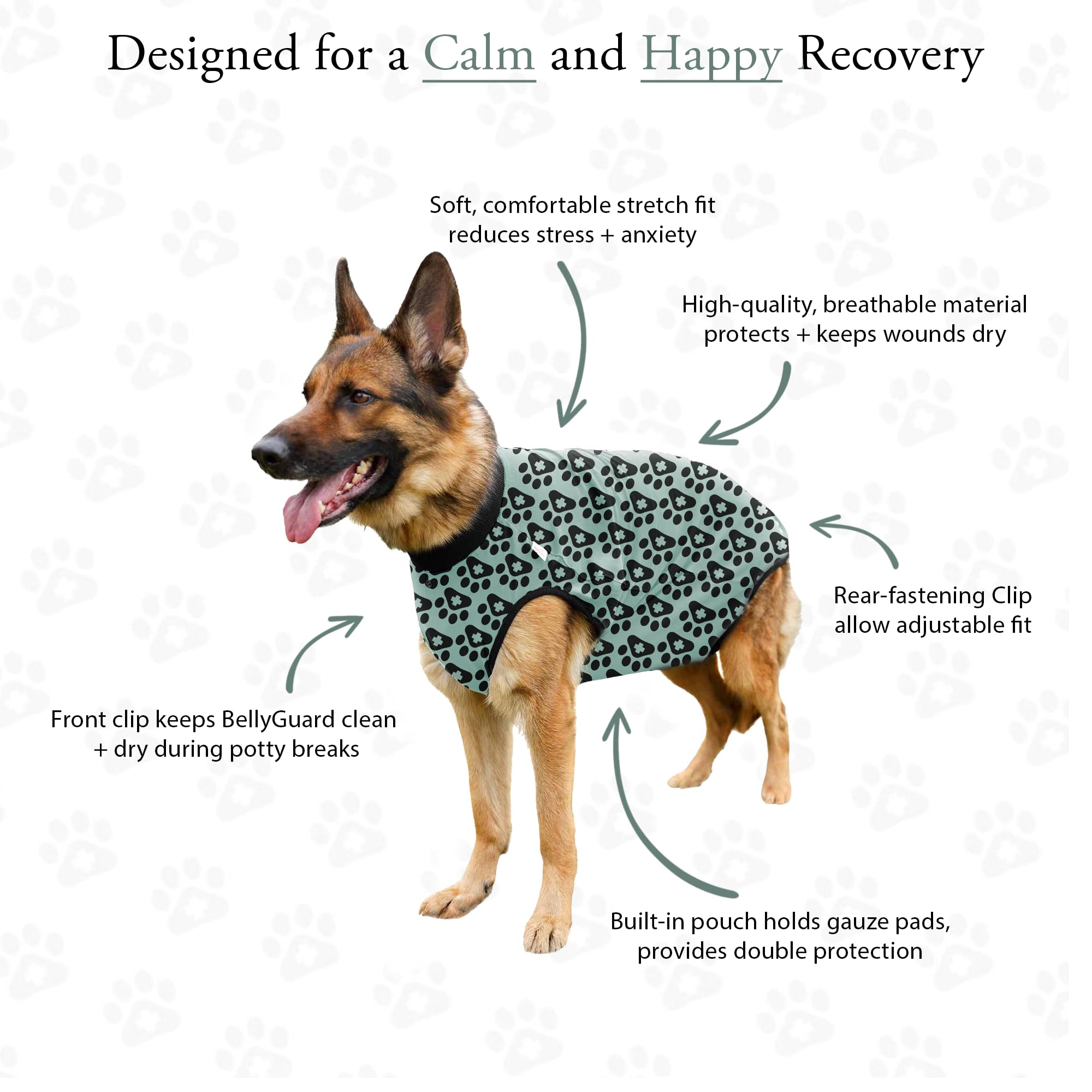 BellyGuard dog post-op suit rolled back for convenient potty breaks