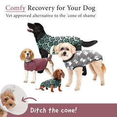 BellyGuard dog surgery recovery suit back view with secure rear fasteners.