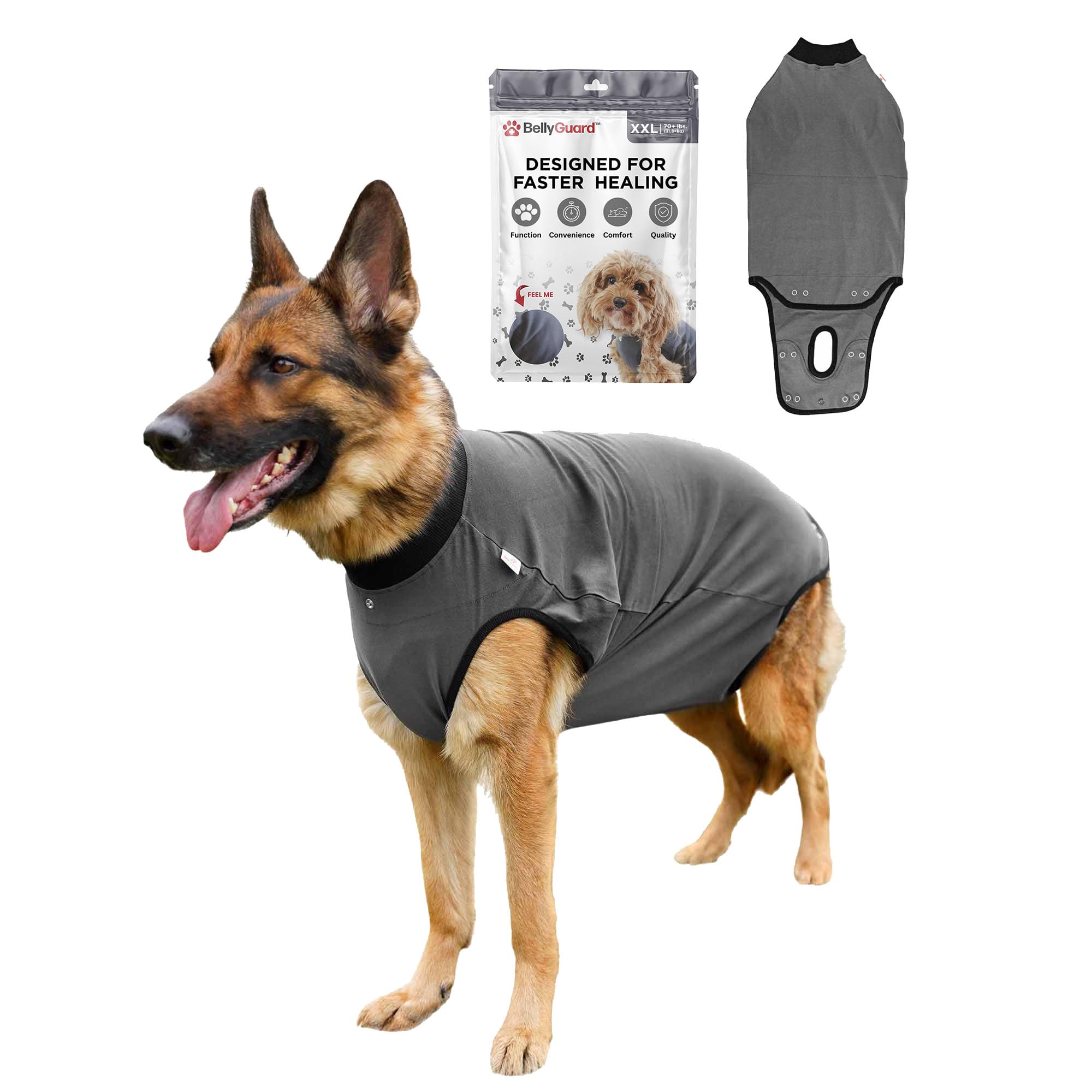 BellyGuard dog surgery recovery suit close-up stitches for wound protection during healing.