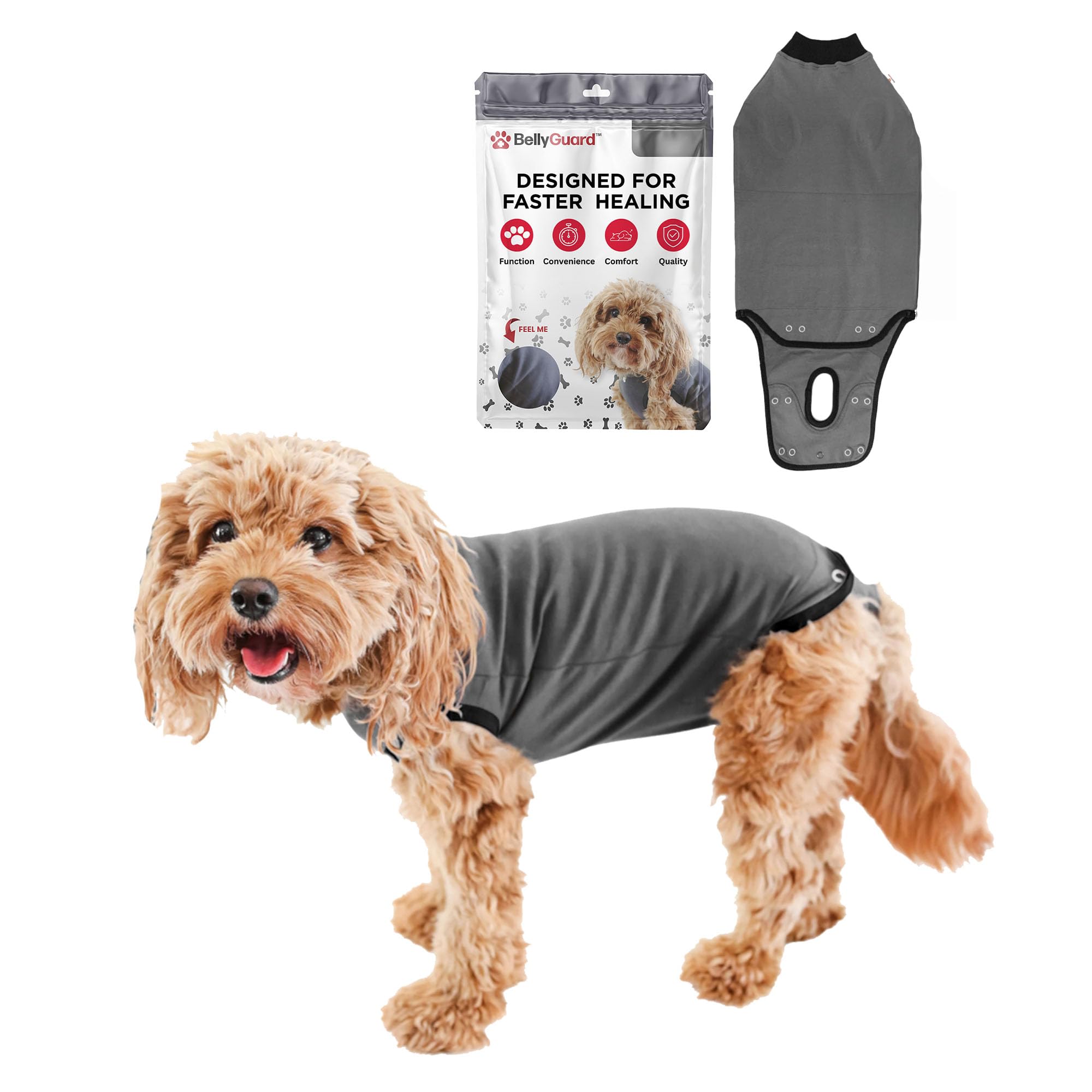 BellyGuard dog surgery recovery suit front view protecting stitches with comfort.