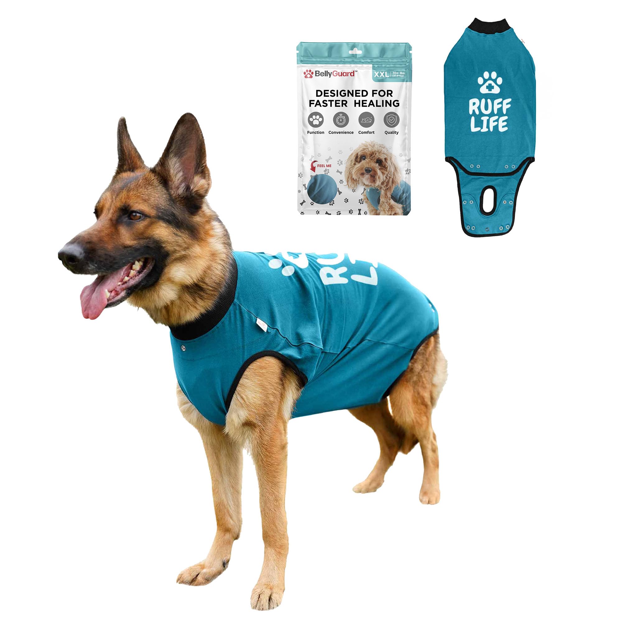BellyGuard dog surgery recovery suit front view protects stitches gently