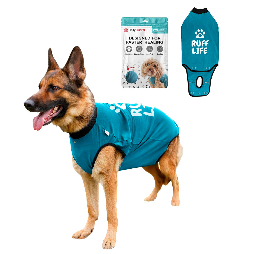 BellyGuard dog surgery recovery suit front view protects stitches gently