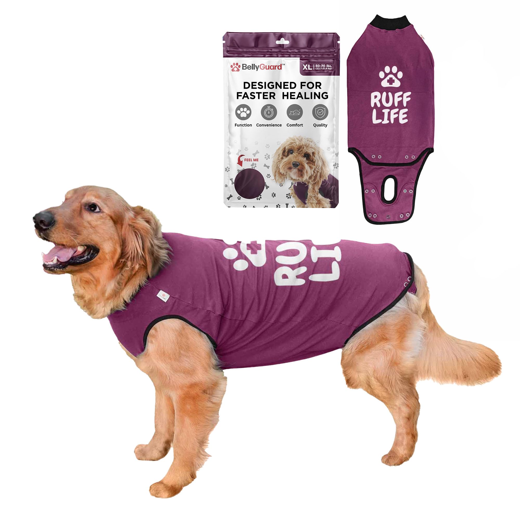BellyGuard dog surgery recovery suit front view shows protective comfort post-op