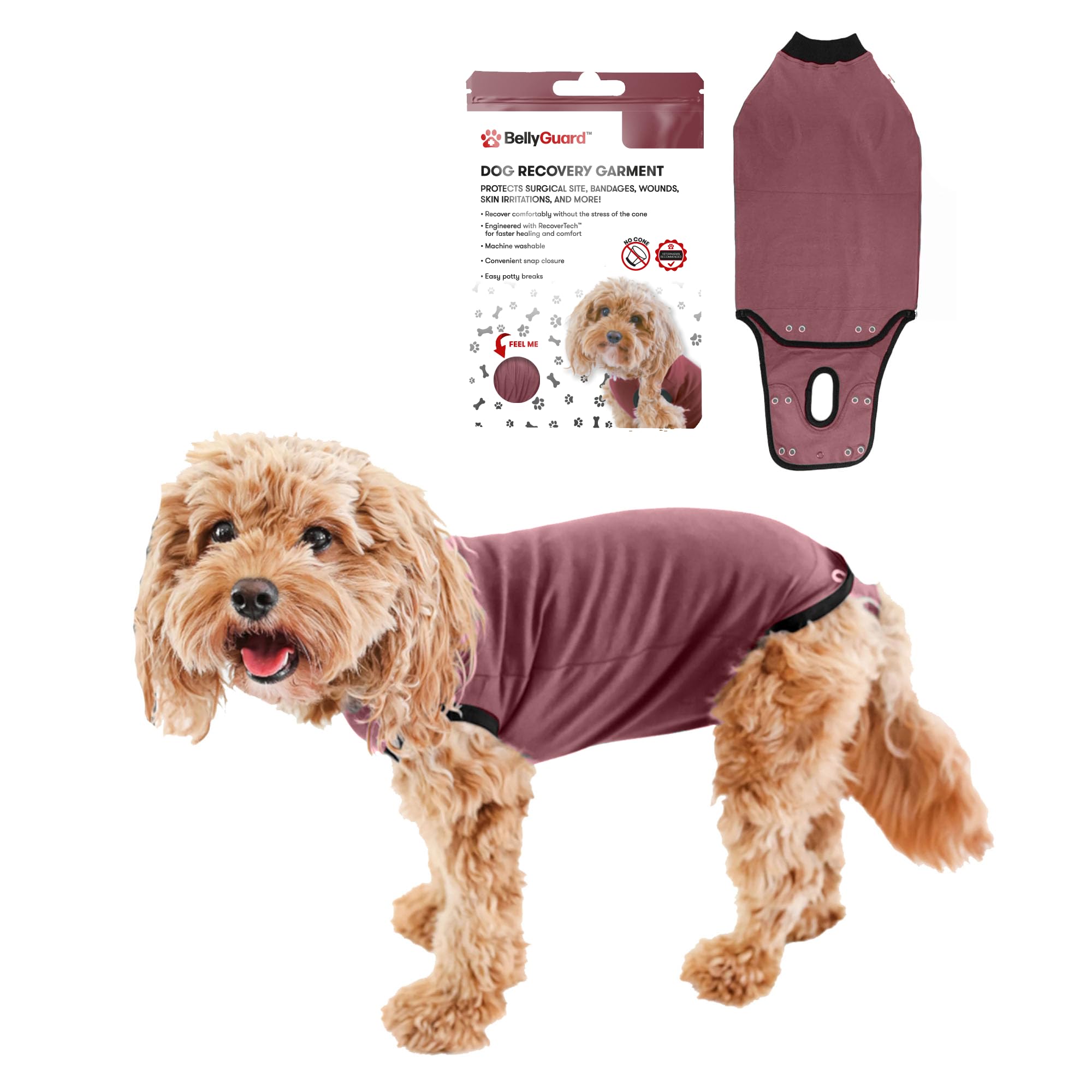 BellyGuard dog surgery recovery suit front view showing secure closure for post-op care.