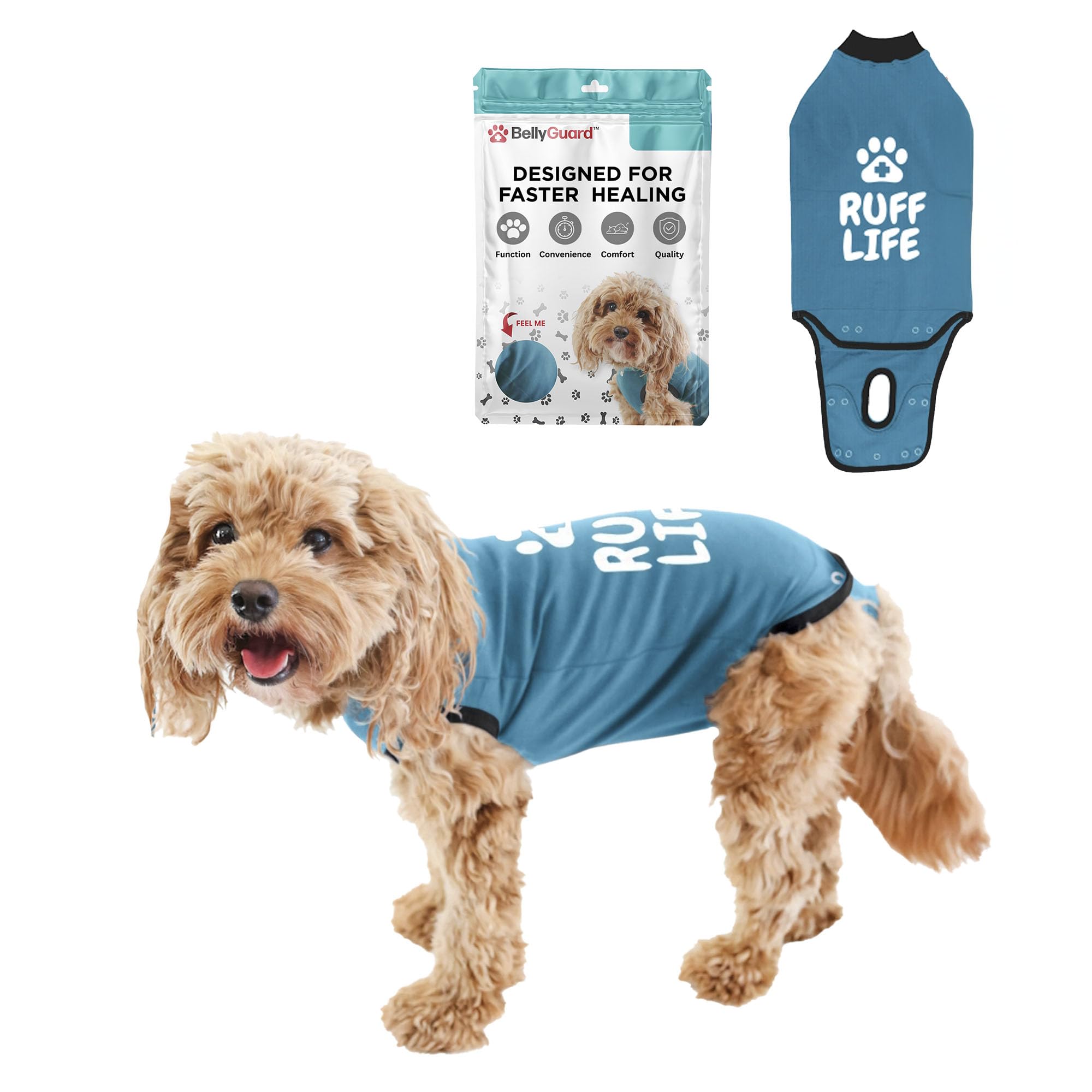 BellyGuard dog surgery recovery suit front view showing comfortable post-op movement
