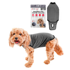 BellyGuard dog surgery recovery suit front view protecting stitches with comfort.
