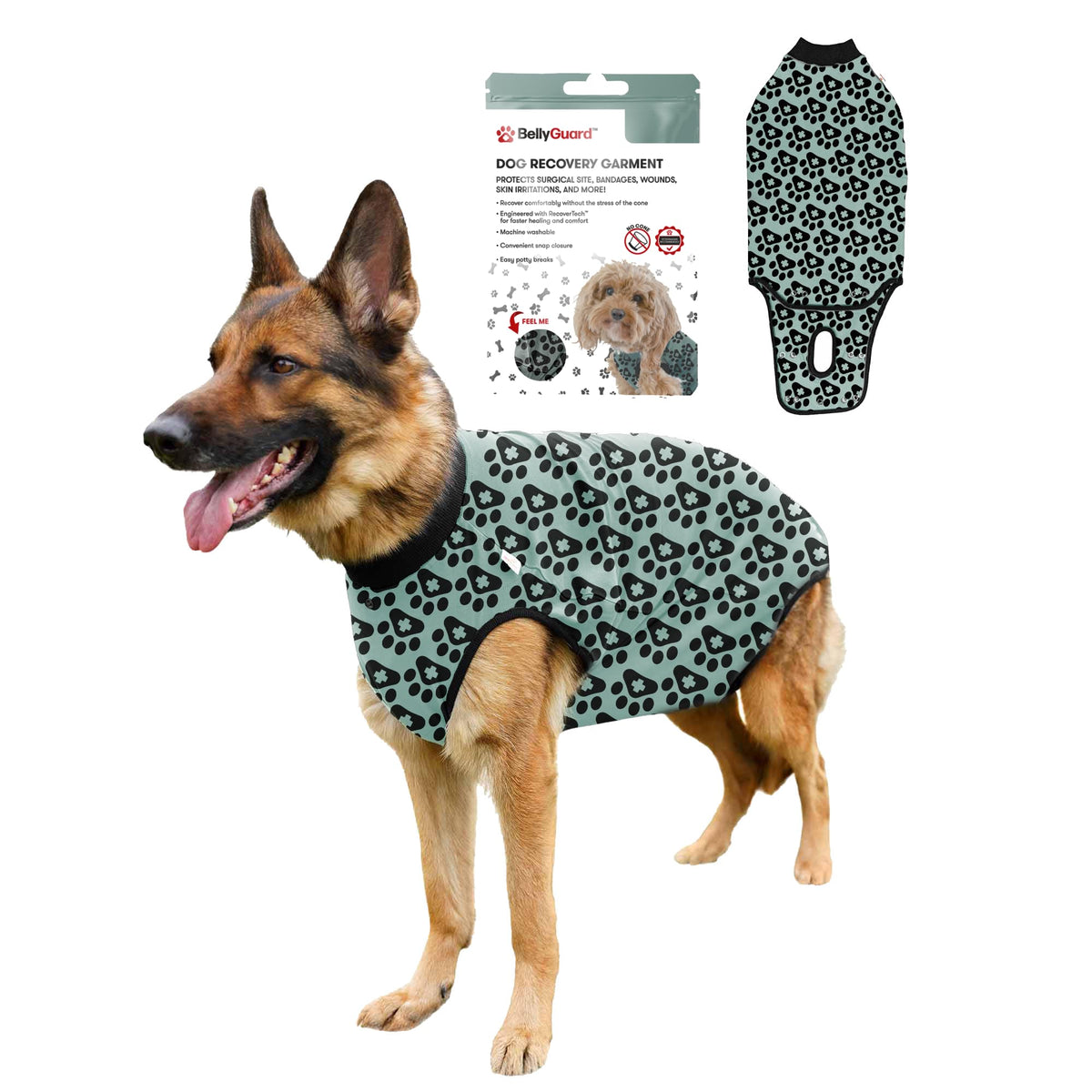 BellyGuard dog surgery recovery suit top view for post-op protection