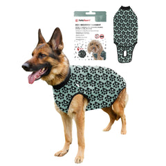 BellyGuard dog surgery recovery suit top view for post-op protection