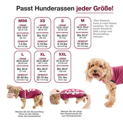 BellyGuard dog surgery recovery suit wearing: easy wear design slips on and secures for secure coverage.