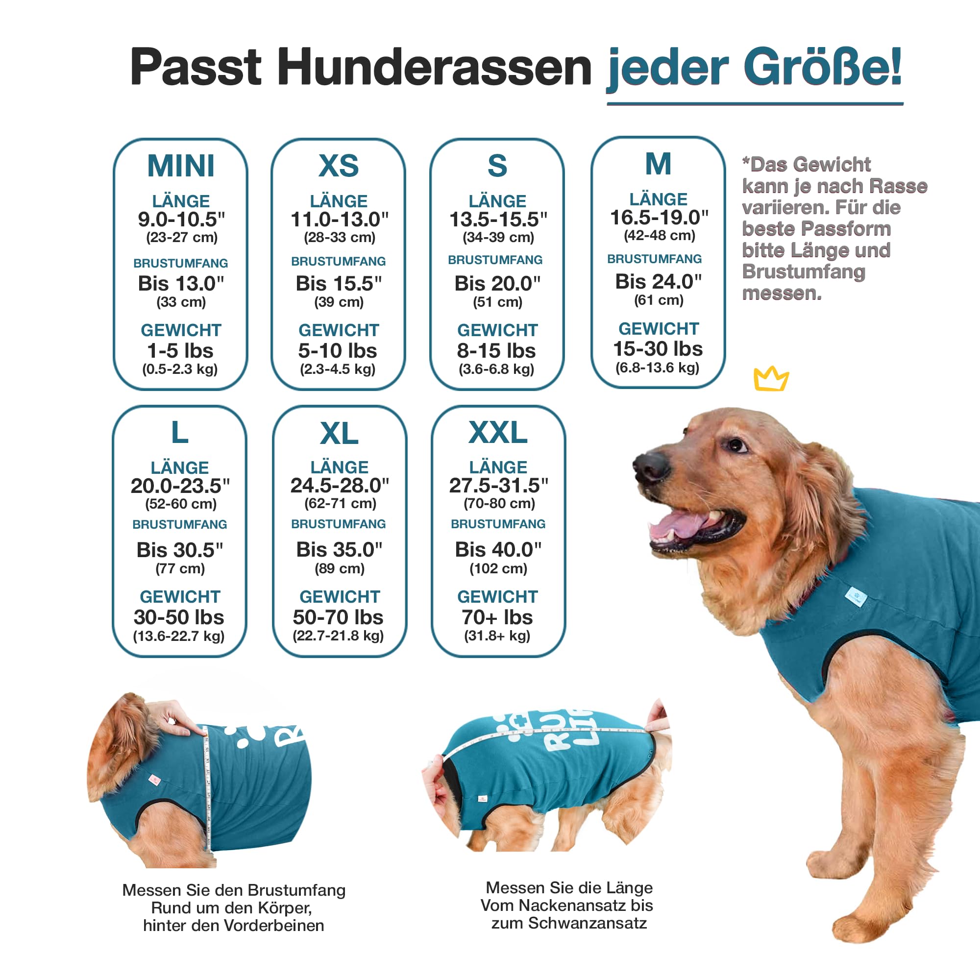 BellyGuard dog surgery recovery suit worn on a dog illustrating cone-free comfort