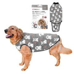 BellyGuard dog surgery recovery suit protects stitches while allowing comfortable movement