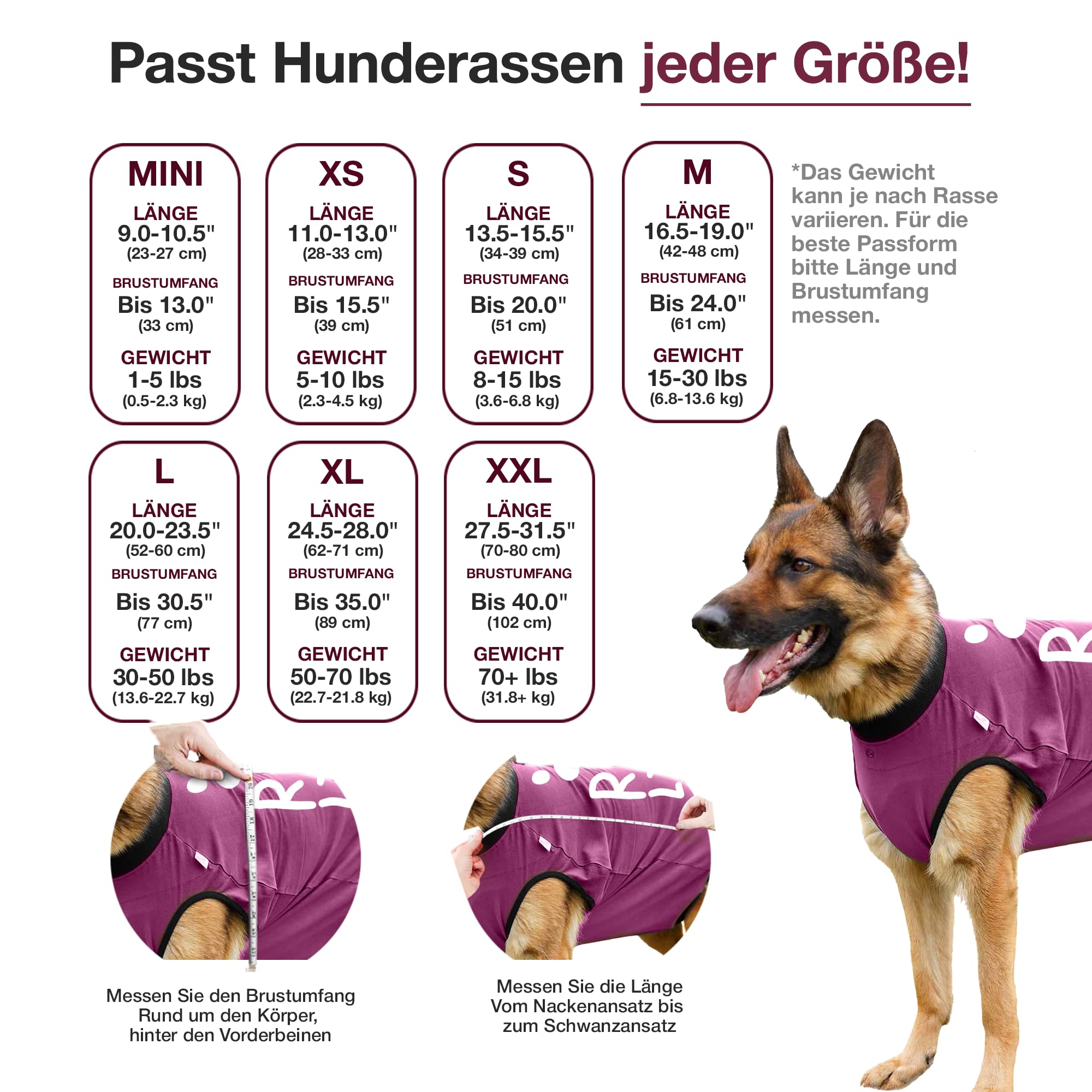 BellyGuard dog-surgery-suit closed-snap-back image highlights secure rear closure.