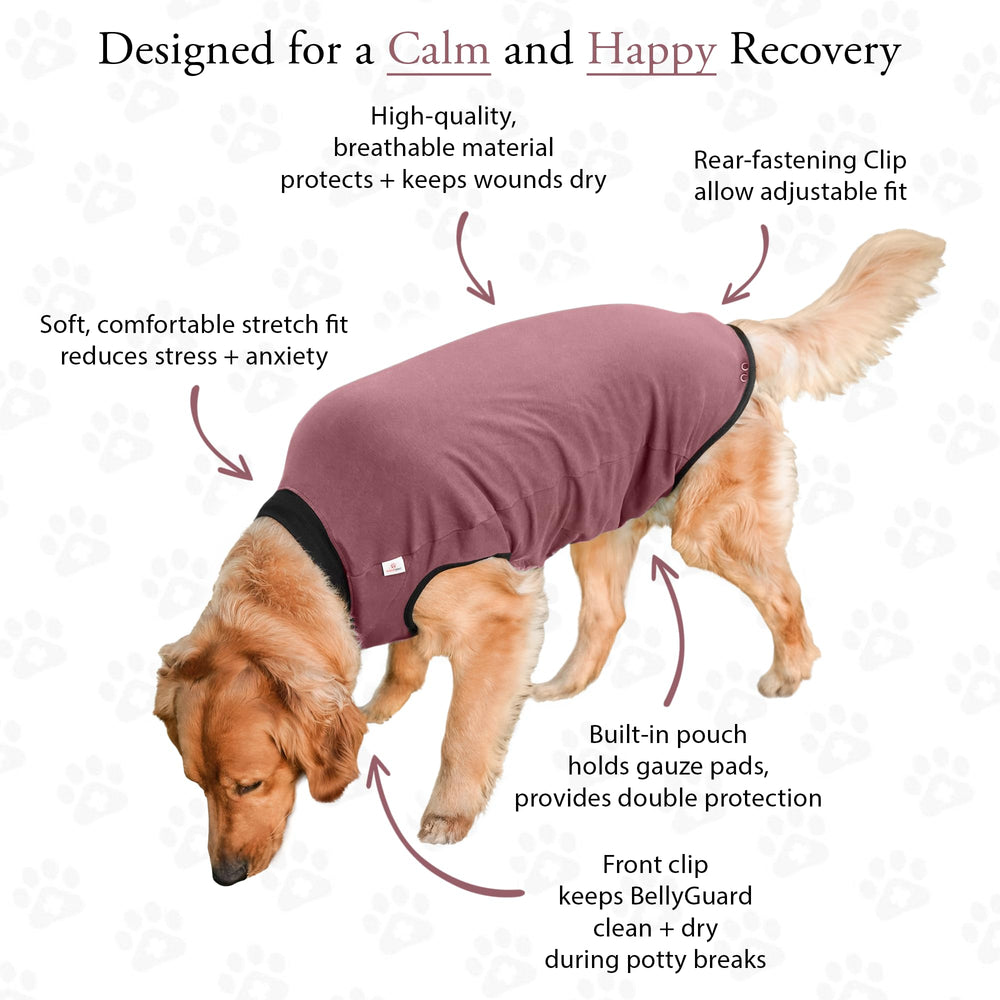 BellyGuard surgical suit highlights deterrent to licking and scratching.