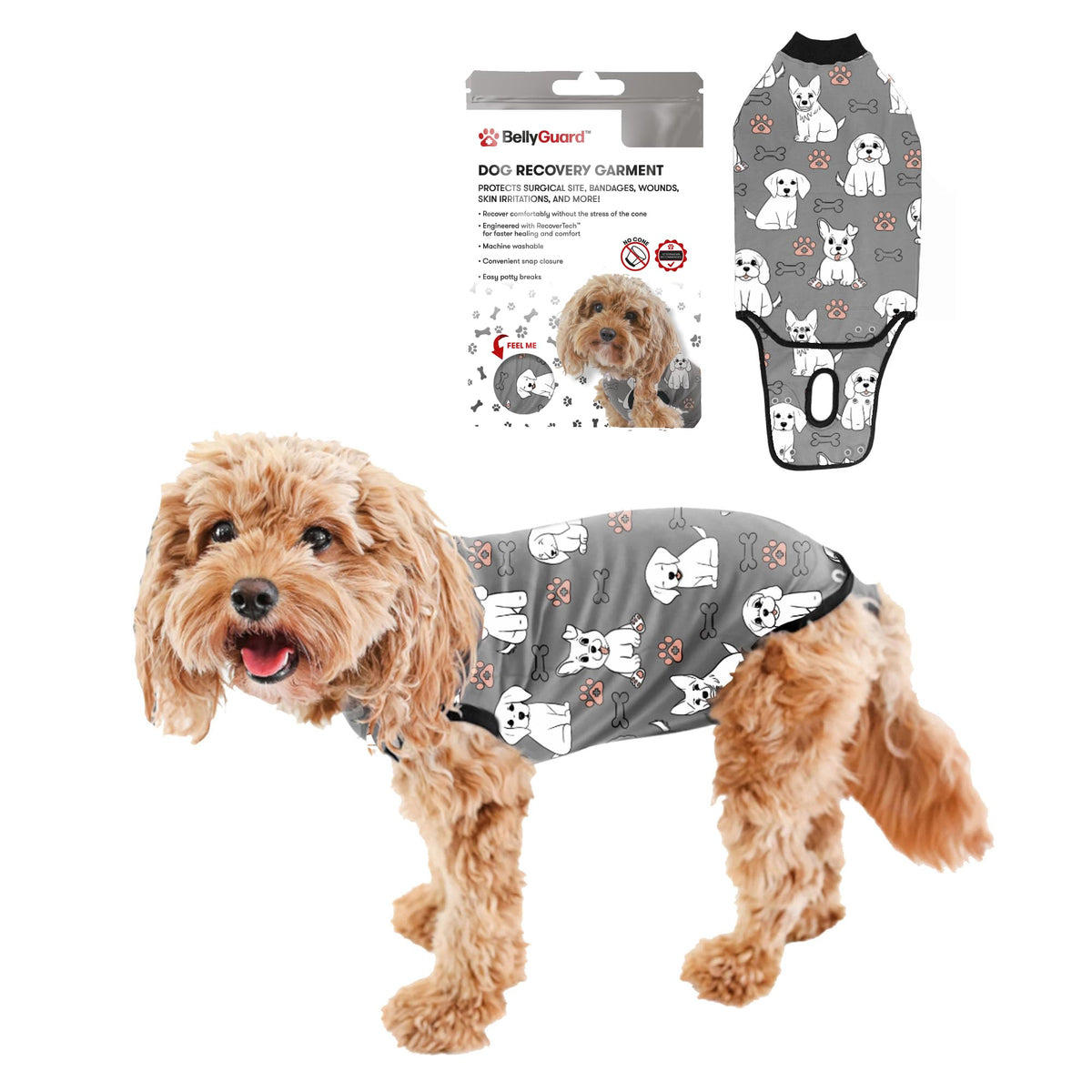BellyGuard dog surgery suit worn on a recovering dog, protecting stitches and enabling movement.