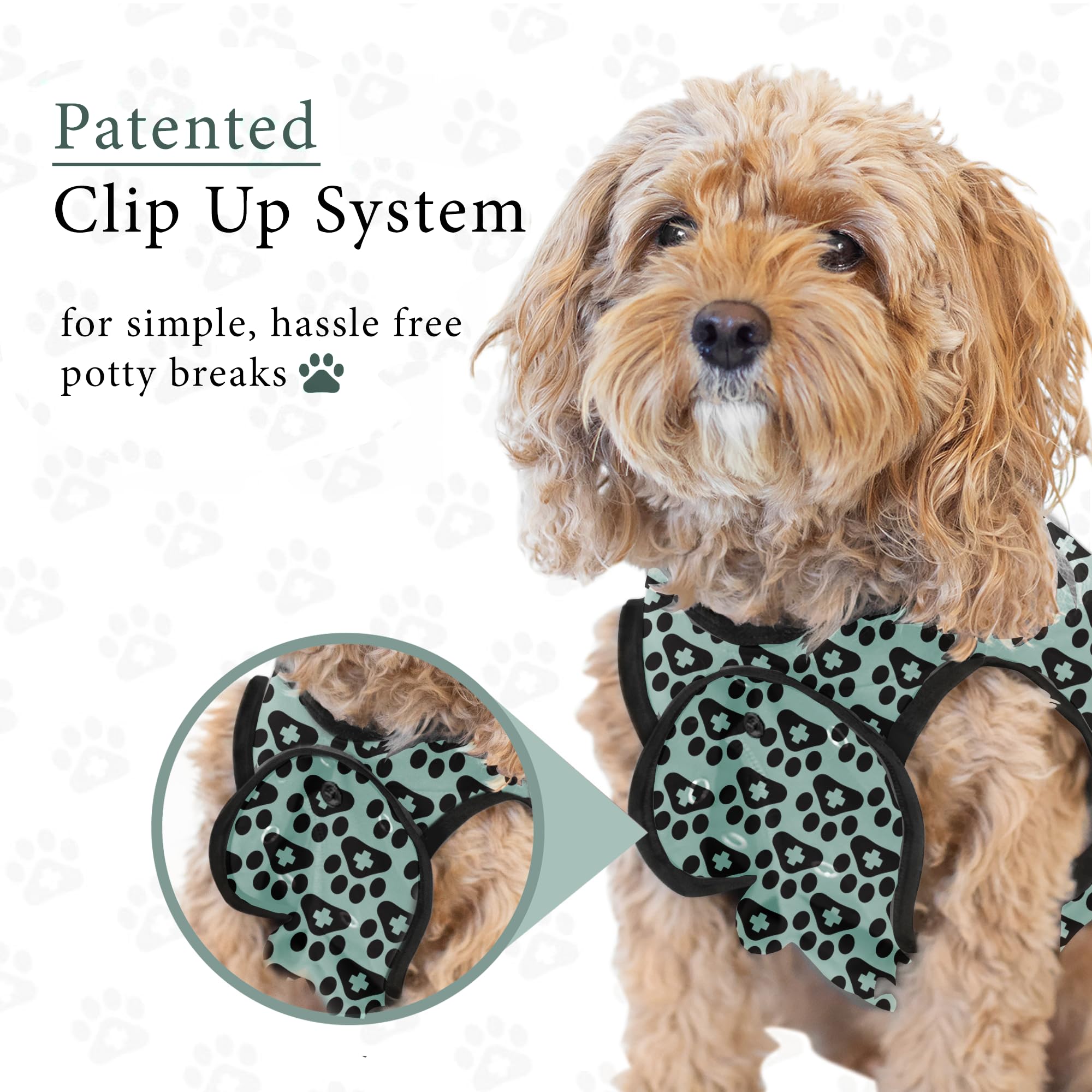 Gender-neutral dog surgery wear fits both female and male dogs.
