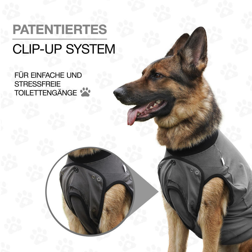 BellyGuard neutering recovery dog suit comfort and sleep-friendly design.