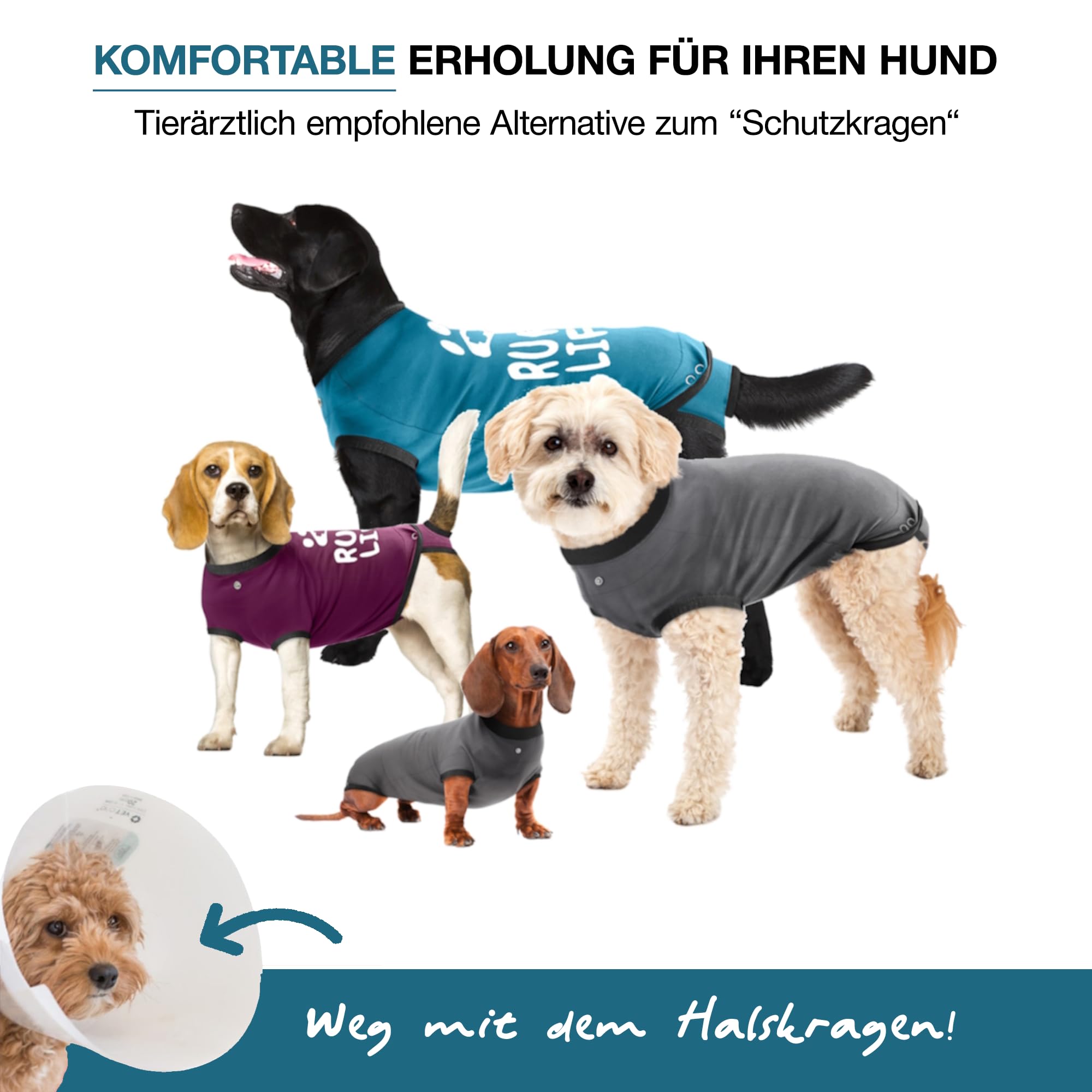 BellyGuard post-op dog onesie front view for gentle post-surgery care.