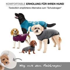 BellyGuard post-op dog onesie full body fit prevents licking while allowing comfortable movement.