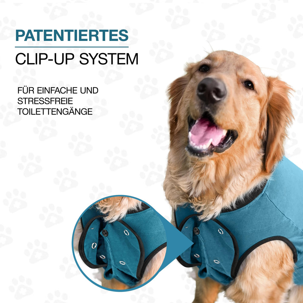 BellyGuard post-op suit demonstrating simple front slip and rear closure for potty breaks