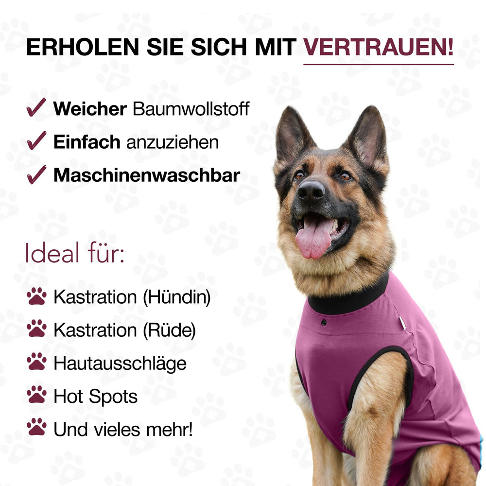 BellyGuard postop-suit dog-wearing-soft-cotton emphasizes breathable comfort during recovery.