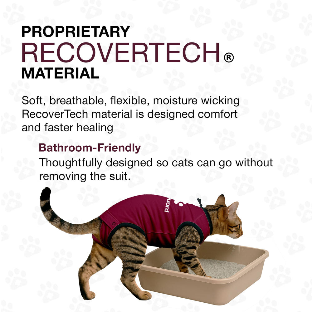 BellyGuard protective cat pajamas aiding post-surgery care and comfort