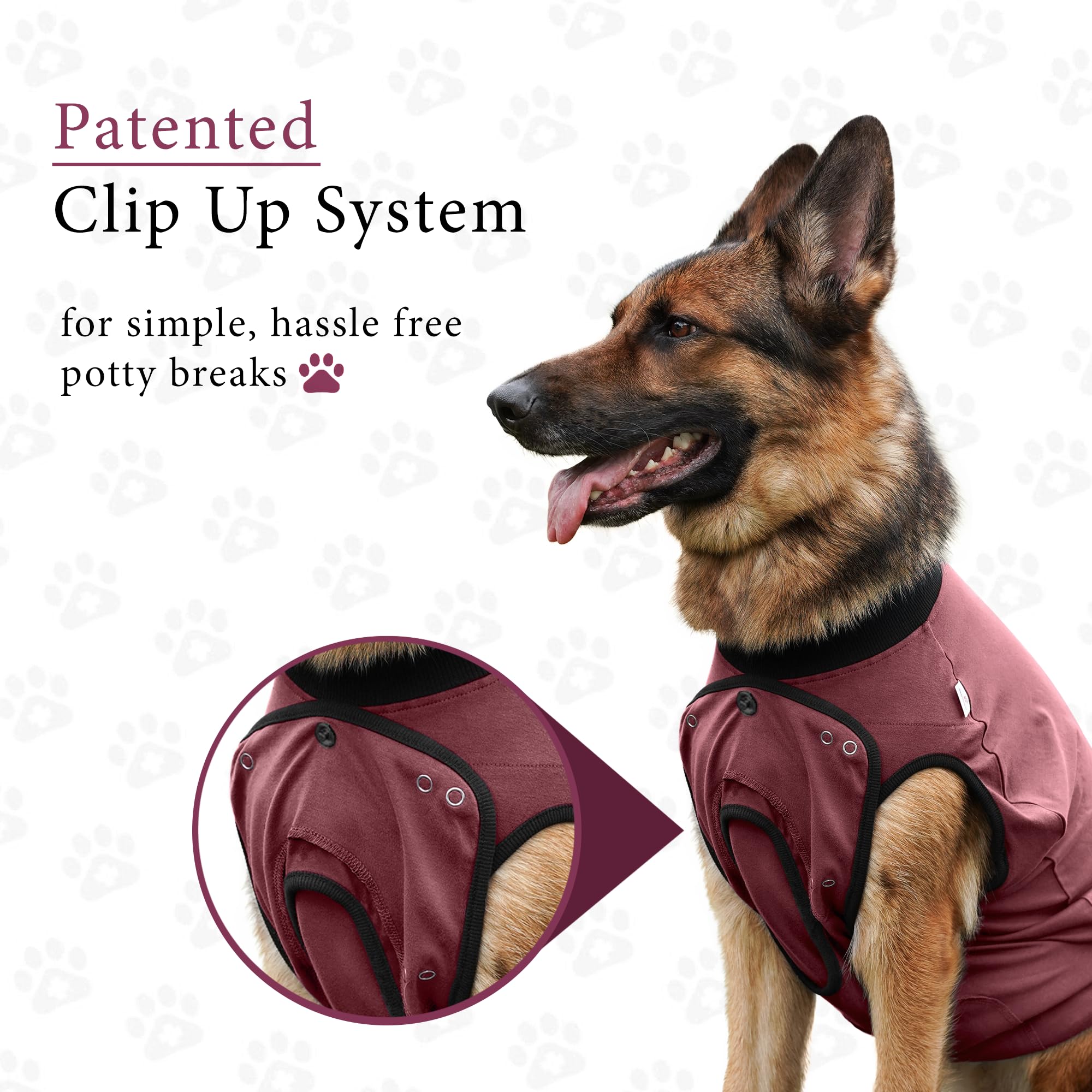 BellyGuard dog recovery suit helps soothe anxious pups during home recovery.