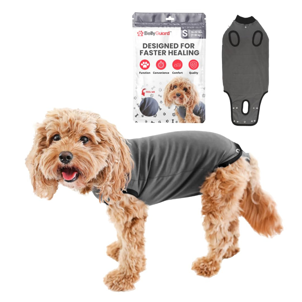 BellyGuard recovery suit protects delicate stitches after surgery.