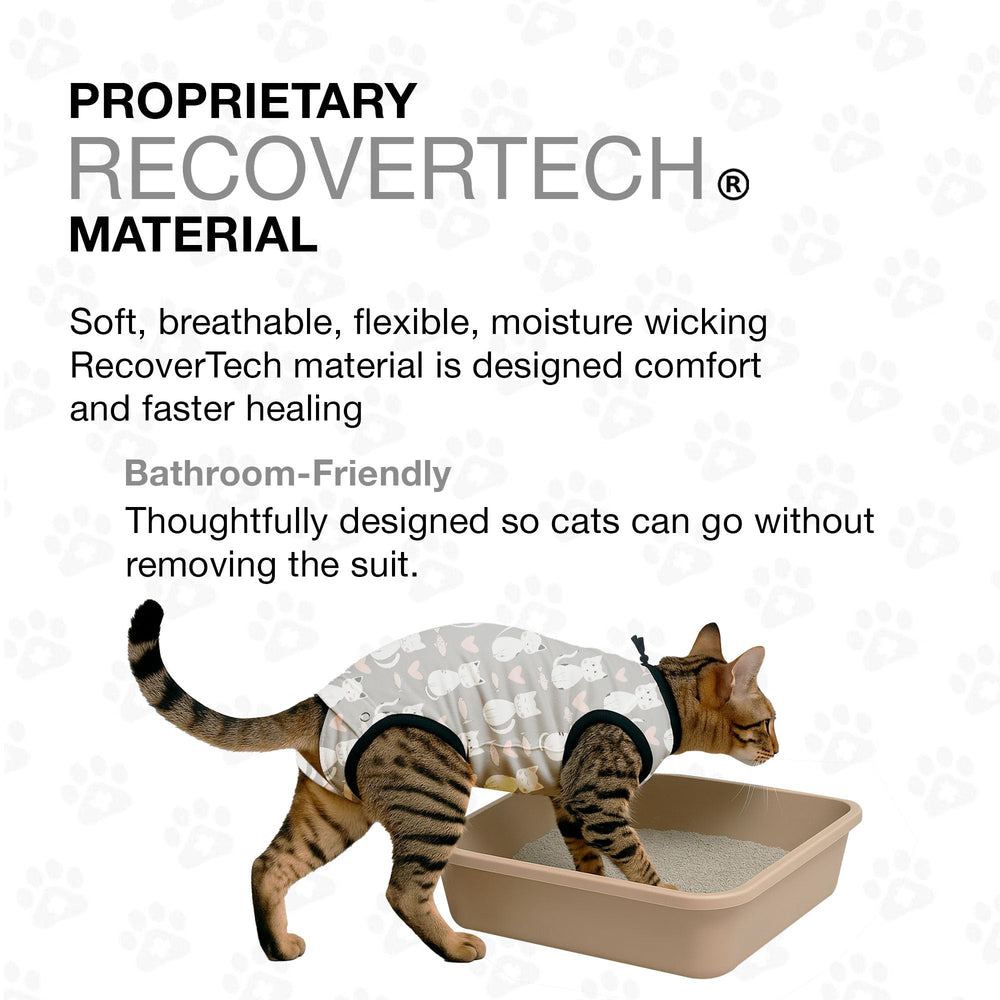 BellyGuard recovery suit supports easing movement and protection for healing feline.