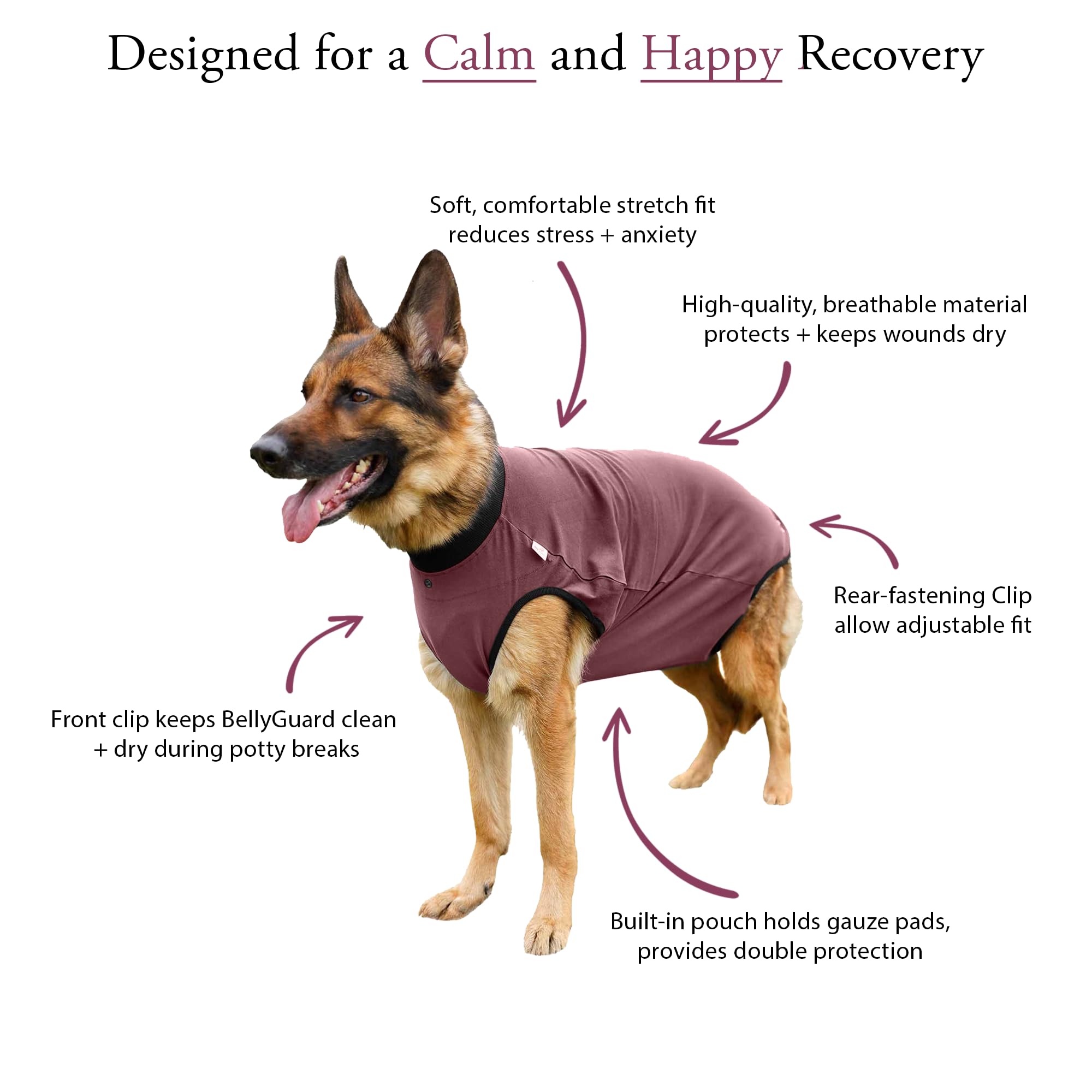 BellyGuard worn during meals and rest to support comfortable post-op healing.