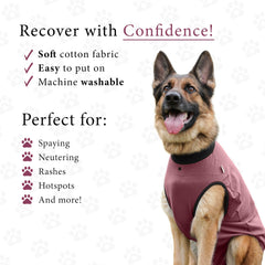 BellyGuard recovery suit with rear snap closure for a secure fit.