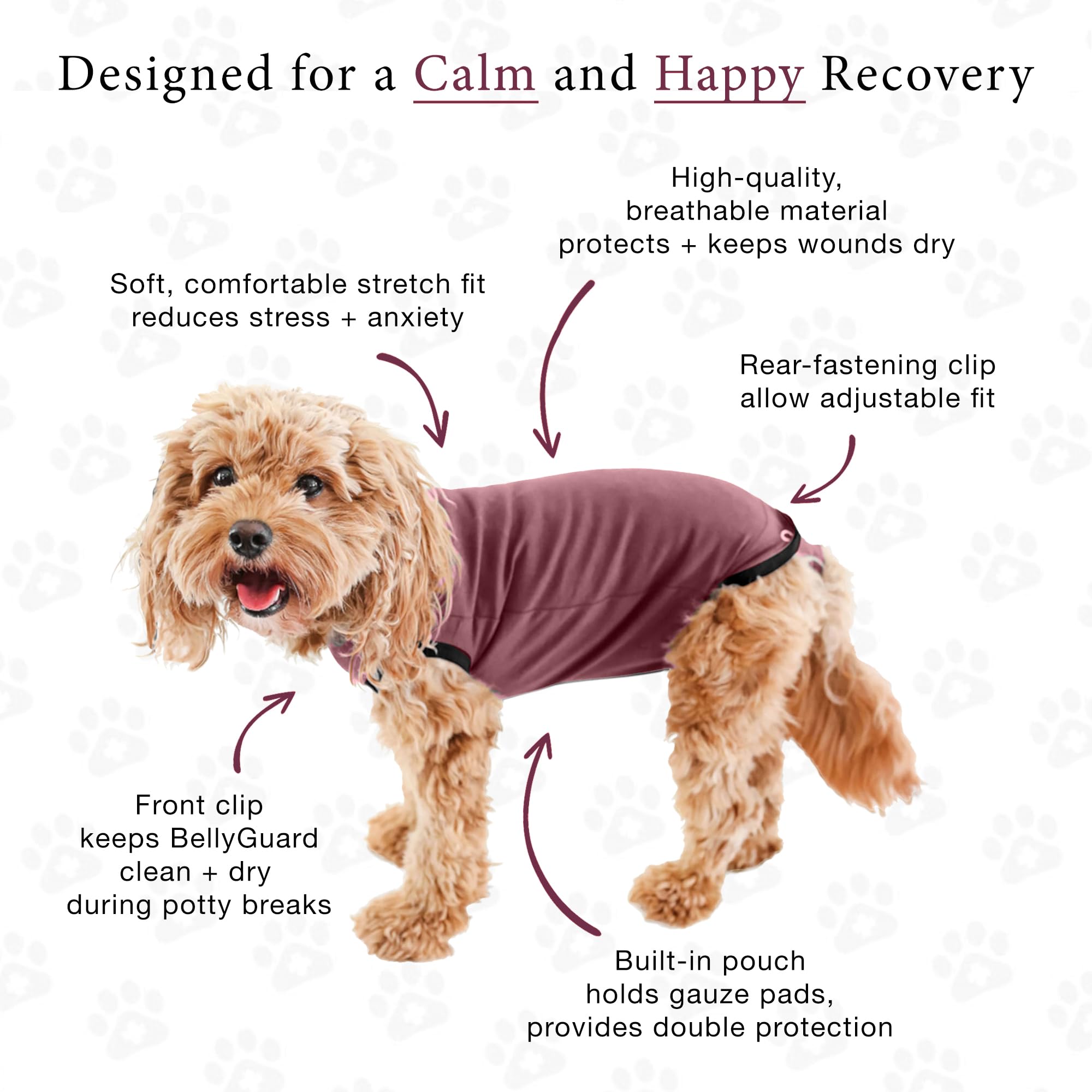 BellyGuard recovery suit shows wound-protection as a cone-alternative option.