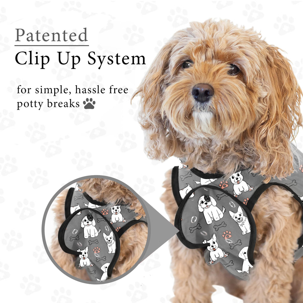 Before-and-after BellyGuard recovery support showing reduced licking tendency.