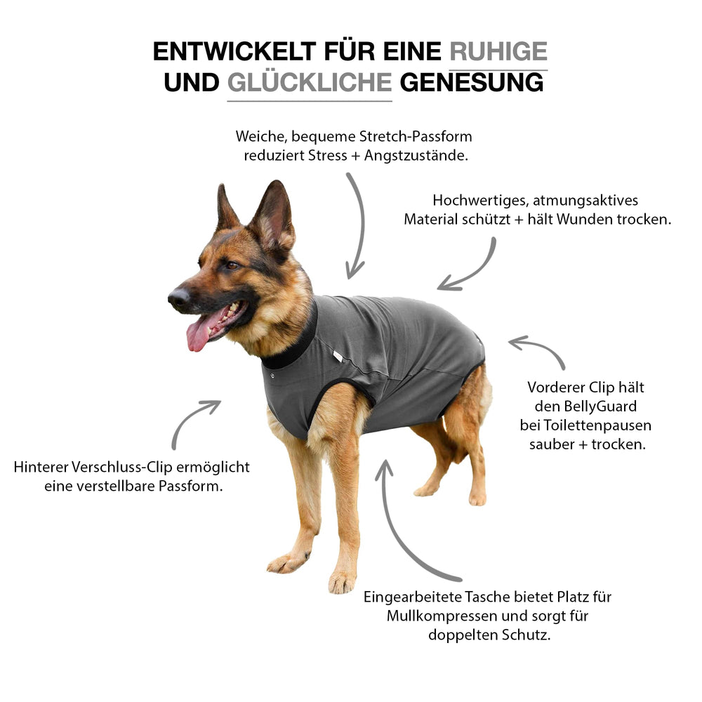 BellyGuard soft cotton recovery suit breathable material for calmer pups.