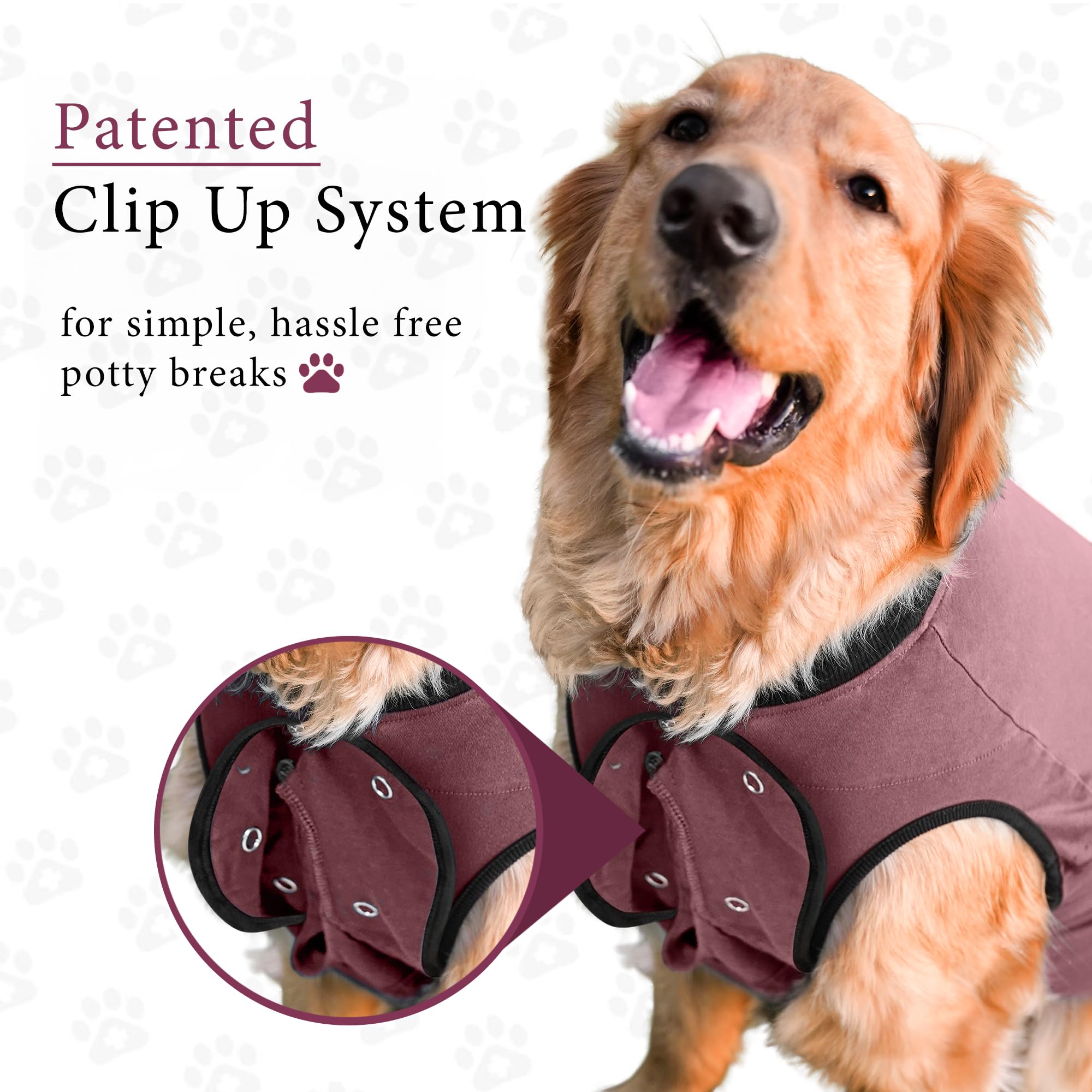 BellyGuard soft stretch cotton close-up, lightweight wear for anxious pups.
