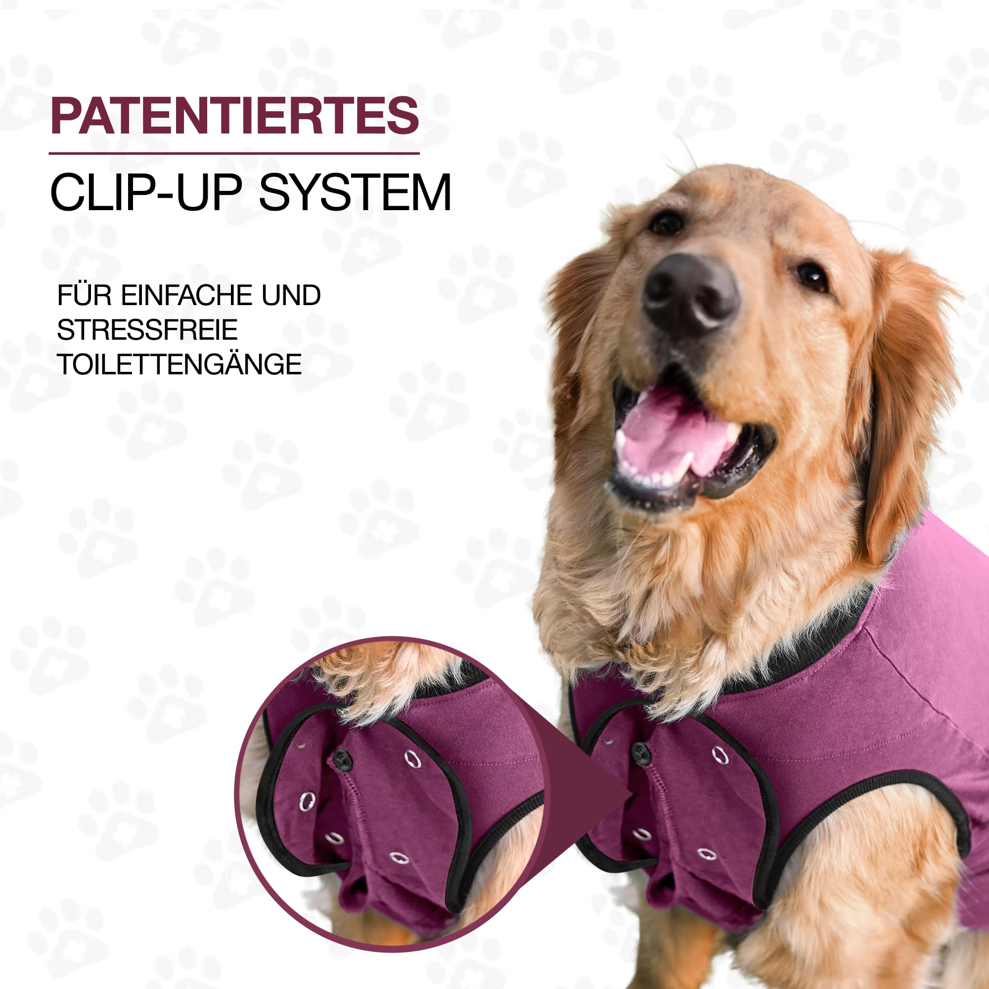 BellyGuard post-op neuter recovery suit suitable for both genders