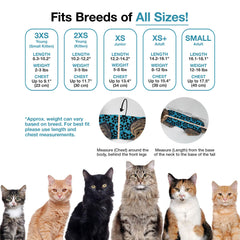 BellyGuard spay suit for female cats protects wounds and eases potty use