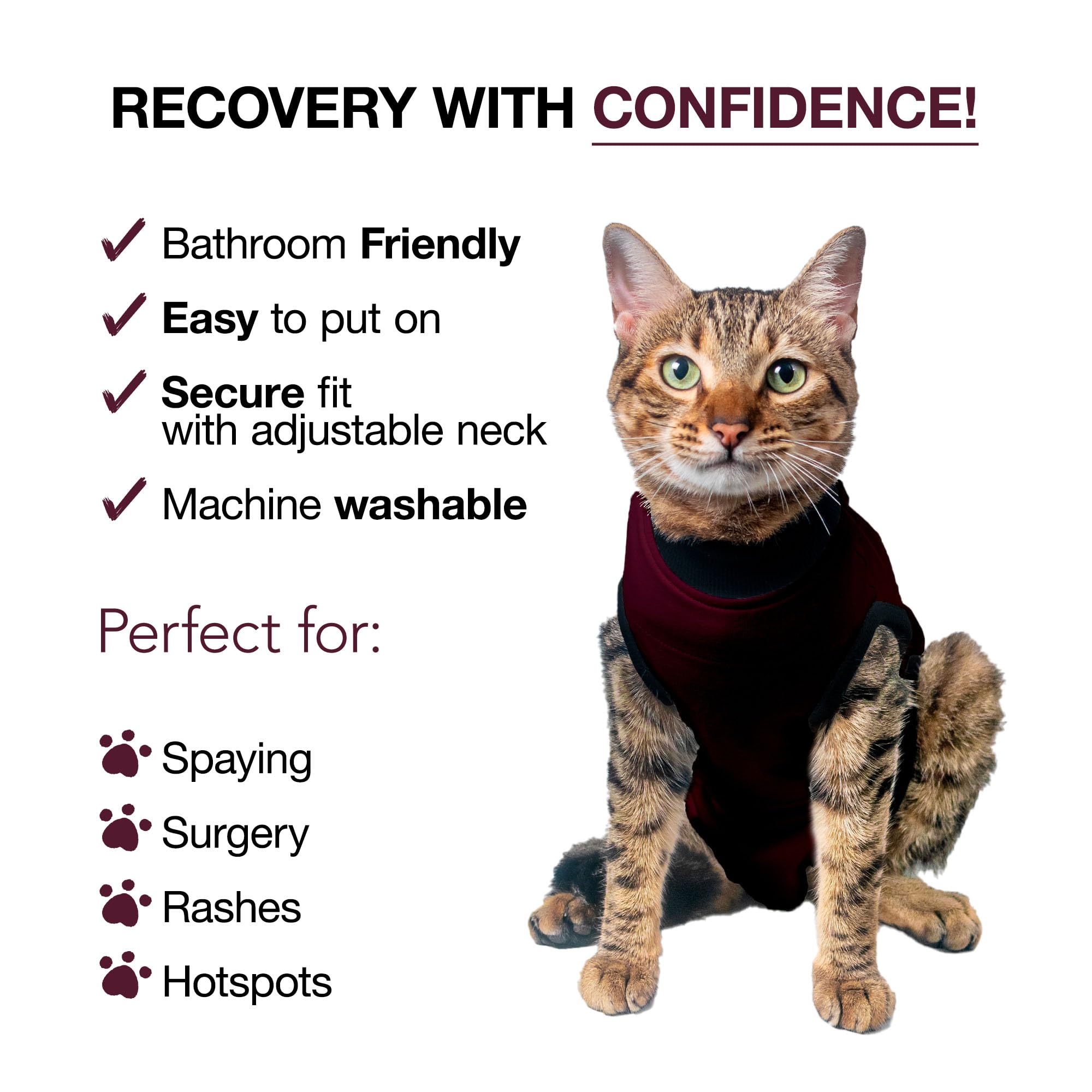 BellyGuard spay suit protects wounds and eases potty use.