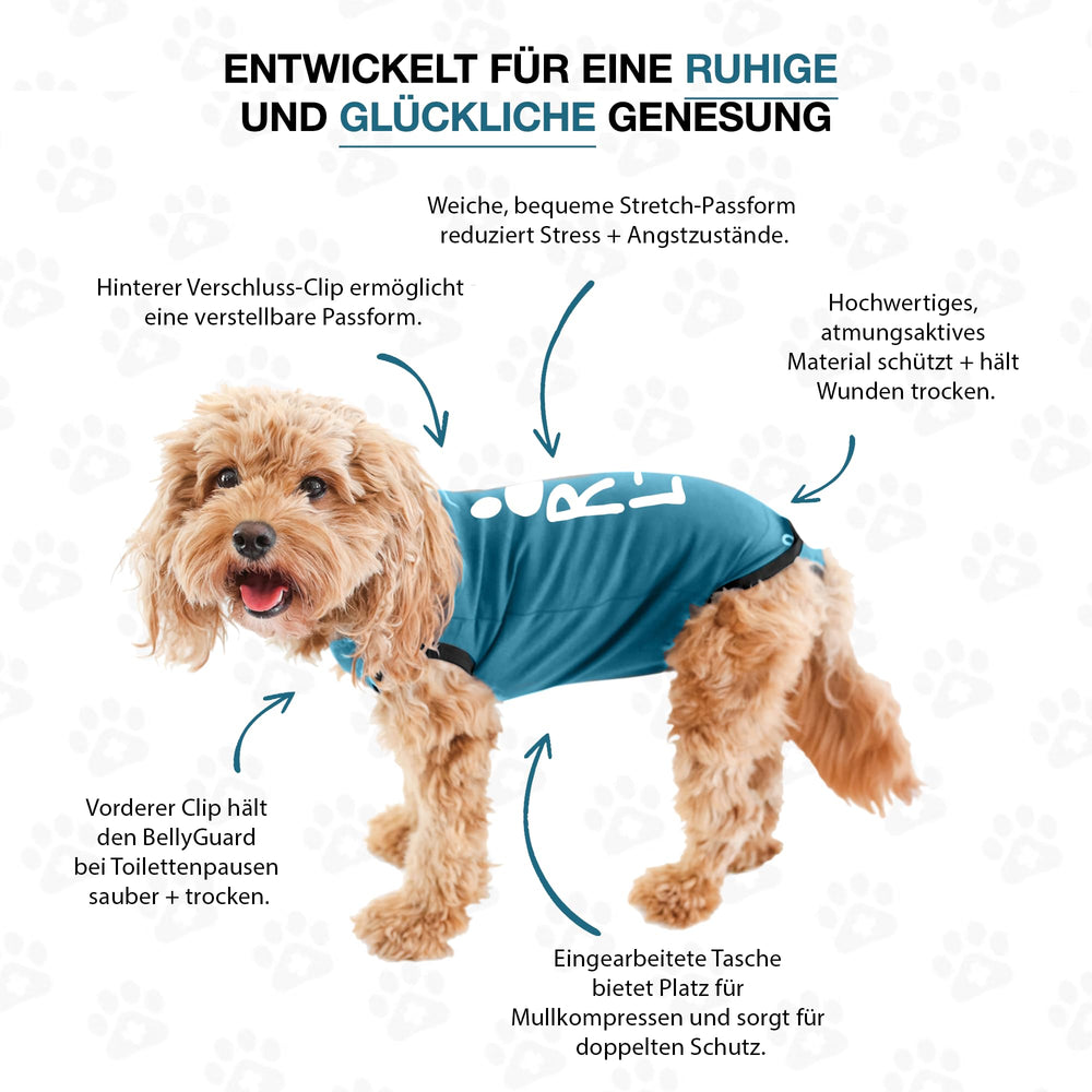 BellyGuard surgery suit covers wounds to deter licking while allowing normal activity