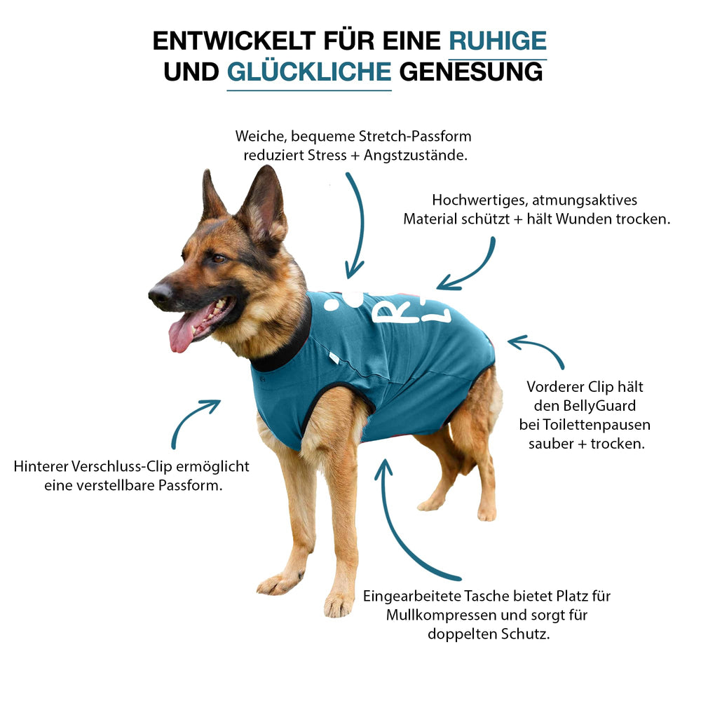 Wound protection and anti-lick coverage helps dogs rest