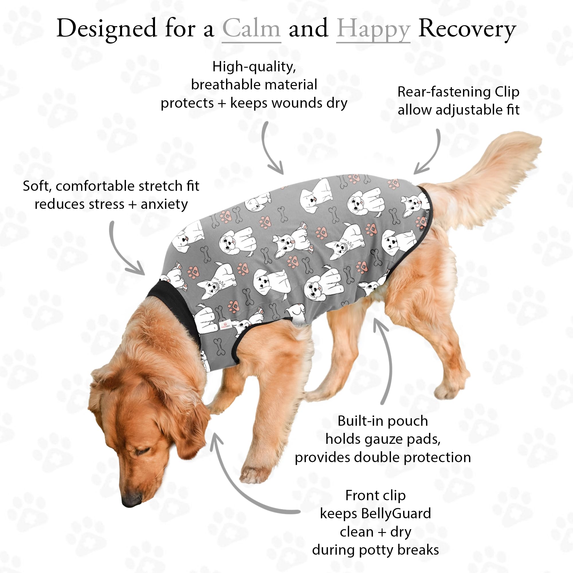 BellyGuard wound-cover dog suit shields incisions while your dog rests
