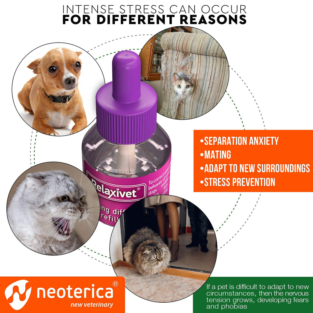 Beloved Pets anti-anxiety cat refill helps create a calmer environment.