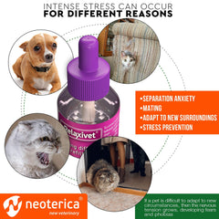 Beloved Pets anti-anxiety cat refill helps create a calmer environment.