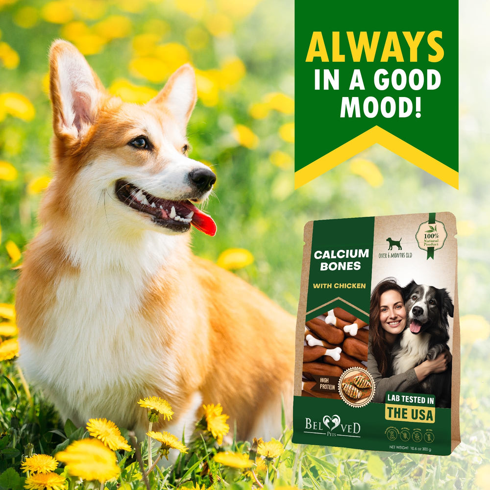 Beloved Pets bone-shaped chew suitable for dogs of all sizes.