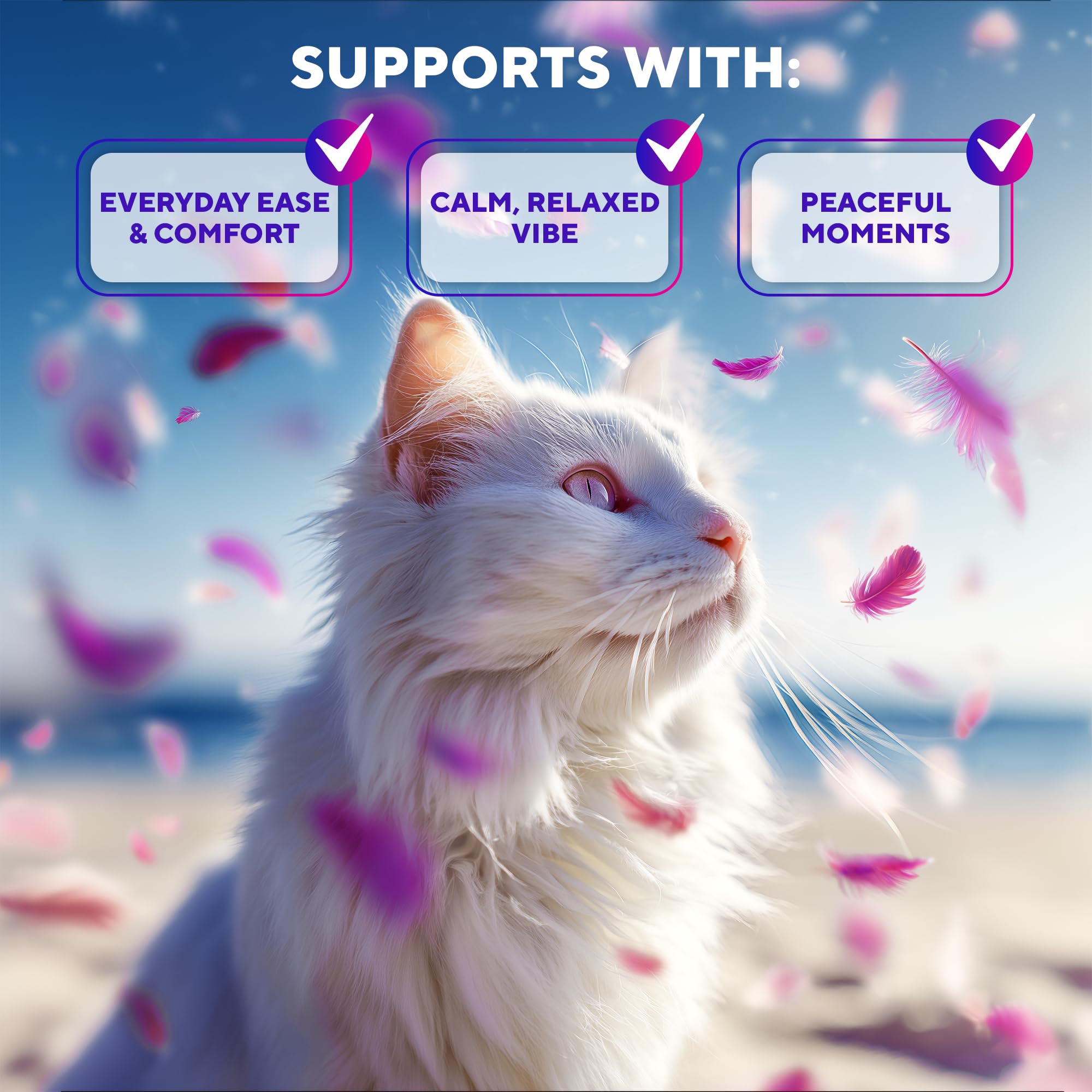 Beloved Pets outlet setup shows diffuser in use, helping reduce tension and aggression at home.