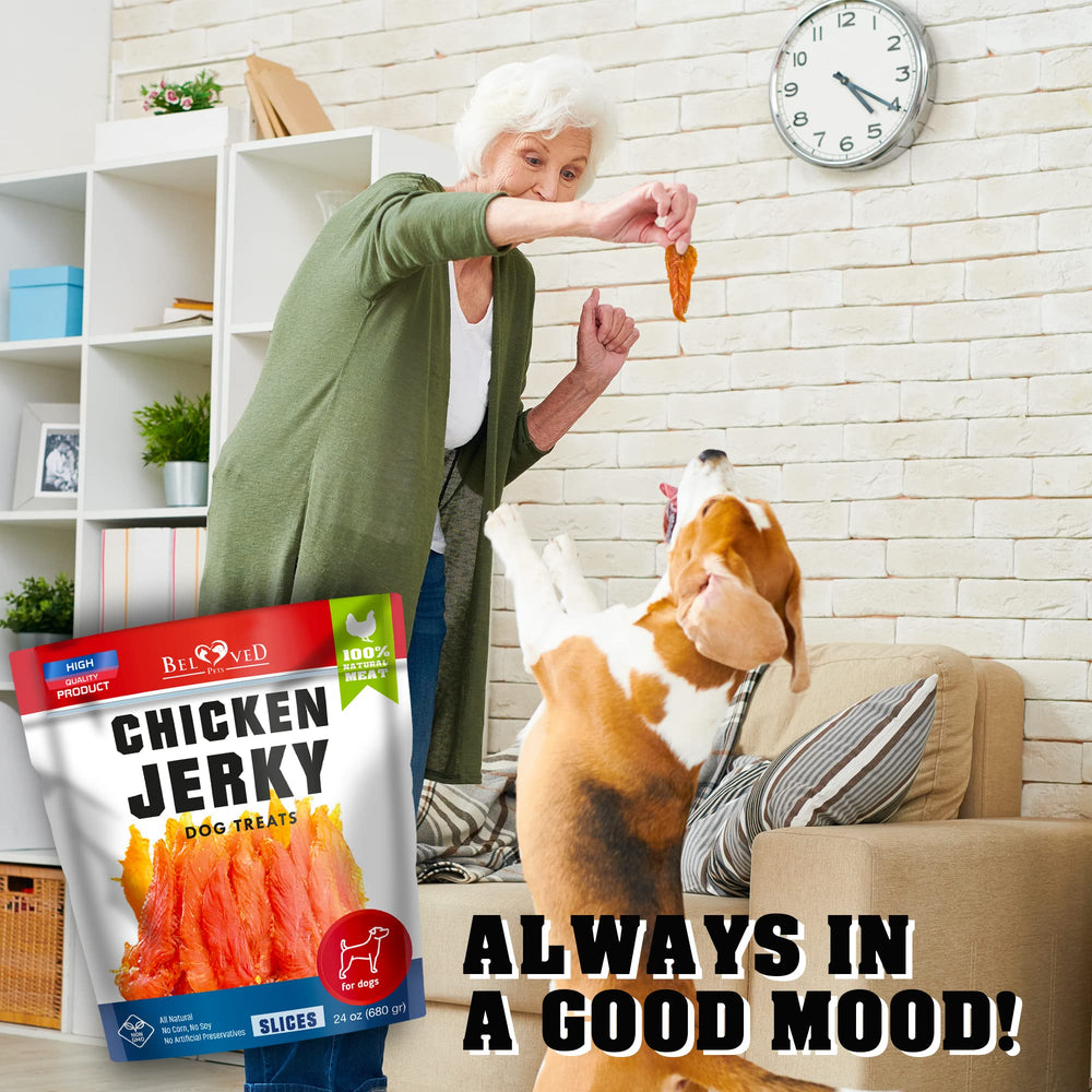 Beloved Pets chicken jerky all-breeds dog treats, durable chew for big and small dogs
