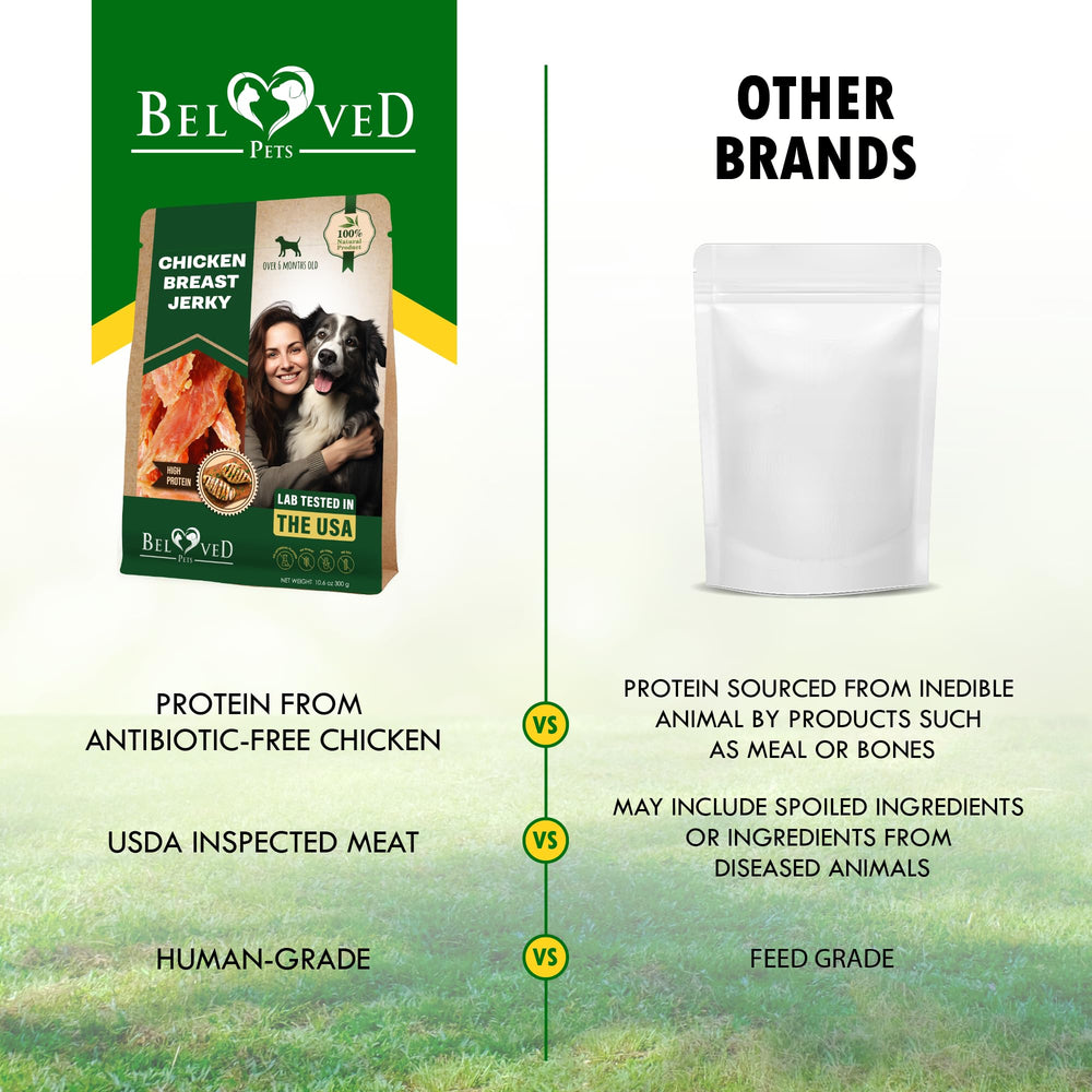 Detail view of Beloved Pets grain-free ingredients in jerky.